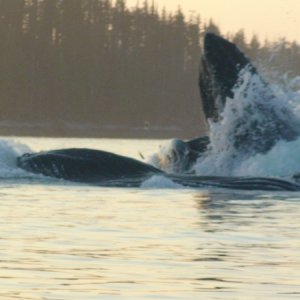 From the raft!