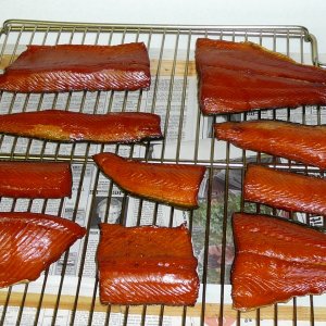 Smoked Salmon 007