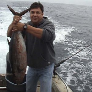 Albacore taken about 25 miles out of Half Moon Bay
