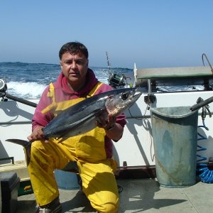 First fish in the box...see the clean deck?