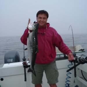 just a so-so salmon