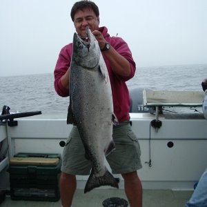 now THIS is what I call a salmon...taken up North