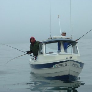 my C-Dory