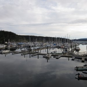Friday Harbor Marina Saturday morning
