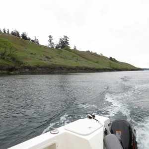 Spieden Island is so picturesque this time of year, before the grass turns brown.