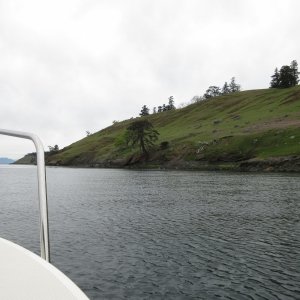 Media 'Looking North/West along Spieden island.  There were hundreds of exotic sheep grazing on this hill' in album 'Arriving at the marina Friday night around 7:30. "My Heaven" in the background.'