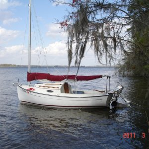 Media 'Com Pac Suncat (little One)' in album 'Seapearl Tri (Osprey)'