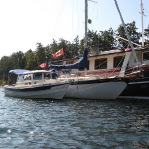 Media 'Easter weekend rafted with friends sv Shangrila and mv Doc swan  Wallace Island BC' in album 'Easter weekend rafted with friends sv Shangrila and mv Doc swan  Wallace Island BC'