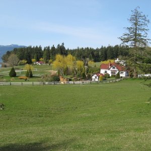 Media 'Anglican church retreat Thetis Island' in album 'Easter weekend rafted with friends sv Shangrila and mv Doc swan  Wallace Island BC'
