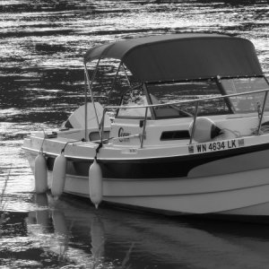 Media 'Great Boat!' in album 'Skagit River, Blakes Resort'