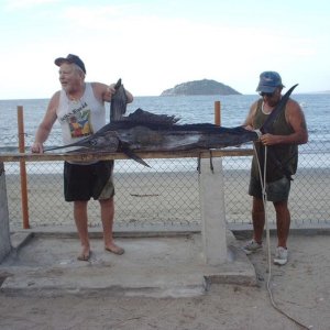 (captd) Mike Popovics Little to big for the fish box