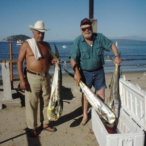 Media '(captd) Manuel Cleans all fish $1.00' in album '(captd) At this point, my heart is in my throat'