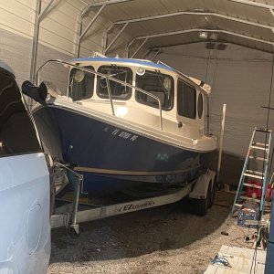 safe at home (the shed is no longer sad)