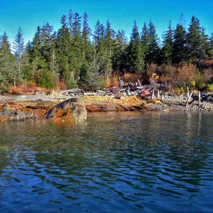 Media 'Cannery Ruins, McClure Bay, 10-14-06, this cannery was wiped out by the 1964 earthquake and resulting tsunami.  3 people lost their lives here during the tsunami' in album 'Goose Bay, new radar arch with new radar, 6-12-06'