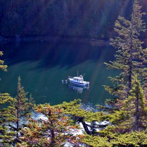 Media 'Cannery Ruins, McClure Bay, 10-14-06, Coho at anchor' in album 'Goose Bay, new radar arch with new radar, 6-12-06'