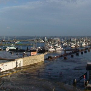 Media 'From the observation tower looking back to the harbor' in album 'Coast Guard 52'