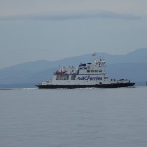 BC ferry