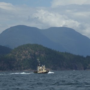 Tugboat entering Desolation Sound