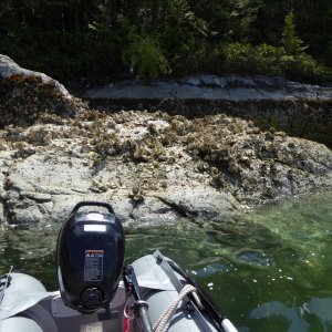 Finally realized, "Prideaux" must be French-Canadian for Oysters!