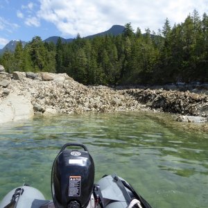 Tons of oysters in Prideaux Haven