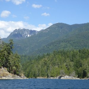 The hills above Prideaux Haven