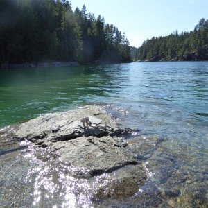 Stern tie hook on a rock in Melanie Cove