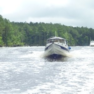 P1010938