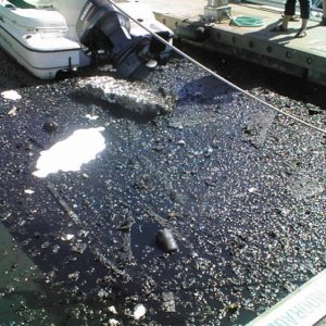 Media '(eieioh) Harborview Marina fire' in album '(eieioh)'