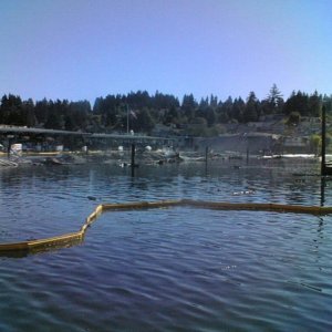 Media '(eieioh) Harborview Marina fire' in album '(eieioh)'