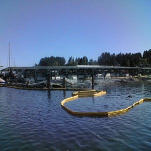 Media '(eieioh) Harborview Marina fire' in album '(eieioh)'
