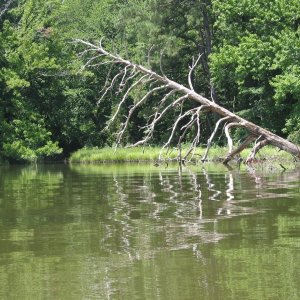 Another Great Chesapeake Gunkhole