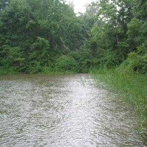 Media 'Storm Cove' in album 'Tilghman Island'