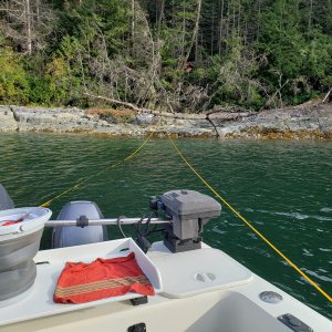 Stern tied to a fallen tree in Tenedos Bay