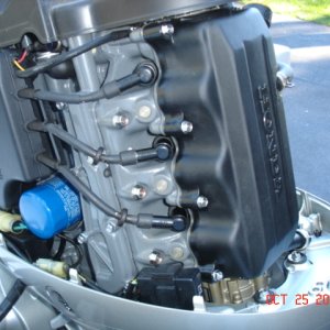 2000 Honda 50 innards - very clean!