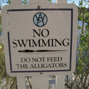 We decided not to swim ...