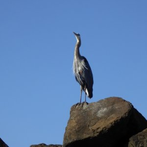 At the entrance to the marina