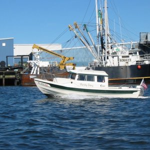 Hunky Dory checking out the big boys in New Bedford Harbor