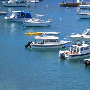 Lil Rascal at Catalina