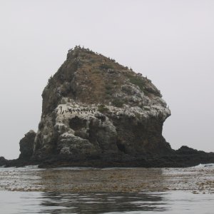 Rock near Anacapa Island