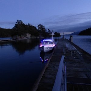 Christmas lights at Fossil Bay