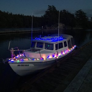 The Christmas light show up better on the phone camera, but look photoshopped LOL!