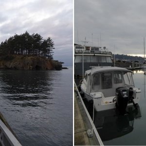 Matia and Bellingham Xmas 2018