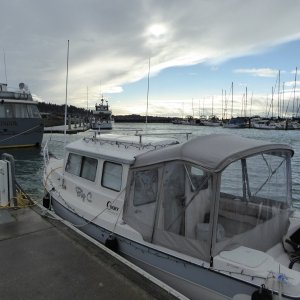 Later in the morning the winds finally reached Squalicum Harbor too