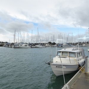 Heading out to walk around the marina Wednesday afternoon