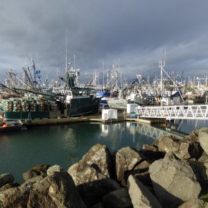 The commercial side of the marina