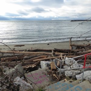 Beach access from new trail