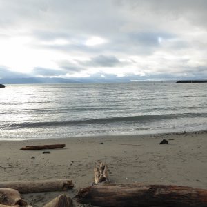 Public beach next to Hilton Harbor