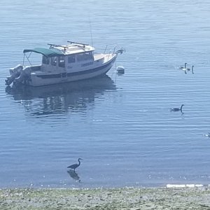 Port Orchard