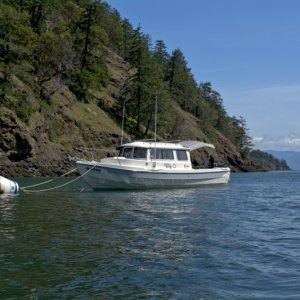 On the buoy at Eagle Harbor, Cypress