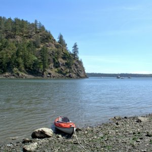 At low tide, it's best to land in these rocks off to the side of Eagle Harbor, unless you prefer to get muddy.
